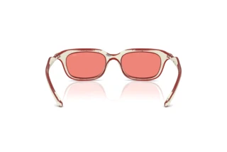 Vue arrière Diesel DL3013U (20107E)