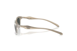 Vue latérale Diesel DL3013U (203587)