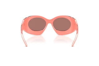 Vue arrière Diesel DL3014U (2061/Z)