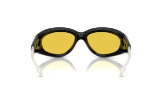 Vue arrière Diesel DL3015U (2001V9)