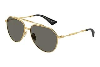 Dolce & Gabbana DG2302 02/R5