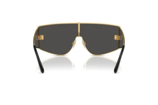 Vue arrière Dolce & Gabbana DG2305 (02/87)