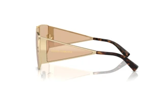 Vue latérale Dolce & Gabbana DG2305 (13655A)