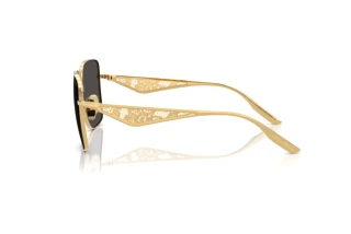 Vue latérale Dolce & Gabbana DG2310 (02/87)