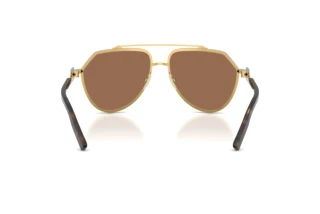 Vue arrière Dolce & Gabbana DG2315 (02/73)