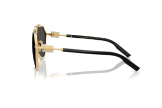 Vue latérale Dolce & Gabbana DG2315 (02/87)