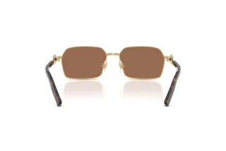 Vue arrière Dolce & Gabbana DG2316 (02/73)