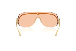 Vue arrière Dolce & Gabbana DG2320 (02/73)