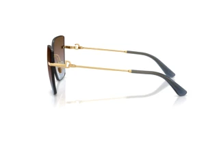 Vue latérale Dolce & Gabbana DG2321 (02/48)