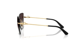 Vue latérale Dolce & Gabbana DG2321 (02/8G)