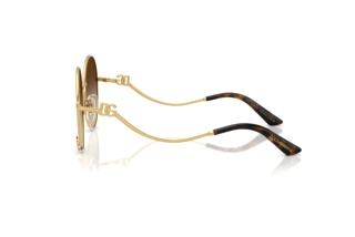 Vue latérale Dolce & Gabbana DG2324 (02/13)