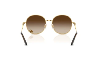 Vue arrière Dolce & Gabbana DG2324 (02/13)