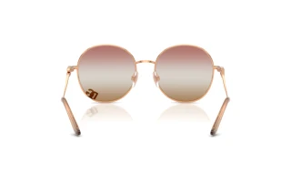 Vue arrière Dolce & Gabbana DG2324 (1298EL)