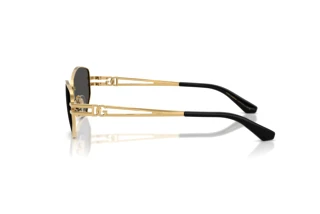 Vue latérale Dolce & Gabbana DG2338 (02/87)