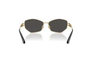 Vue arrière Dolce & Gabbana DG2338 (02/87)
