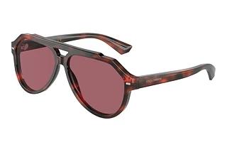 Dolce & Gabbana DG4452 335869 Dark VioletRed Havana