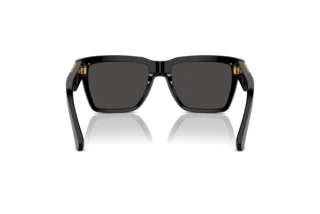 Vue arrière Dolce & Gabbana DG4465 (501/87)