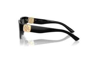 Vue latérale Dolce & Gabbana DG4469 (501/87)