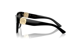 Vue latérale Dolce & Gabbana DG4470 (501/8G)