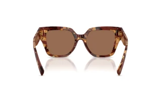 Vue arrière Dolce & Gabbana DG4471 (346273)