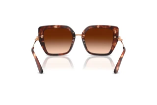 Vue arrière Dolce & Gabbana DG4474 (322274)