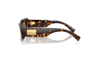 Vue latérale Dolce & Gabbana DG4479 (502/73)