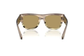 Vue arrière Dolce & Gabbana DG4484 (3439/2)