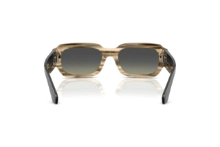 Vue arrière Dolce & Gabbana DG4485 (348411)