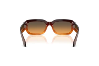 Vue arrière Dolce & Gabbana DG4485 (348618)