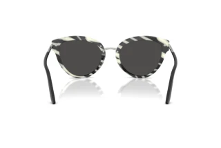 Vue arrière Dolce & Gabbana DG4492 (33728G)