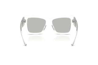 Vue arrière Dolce & Gabbana DG4493 (31338V)