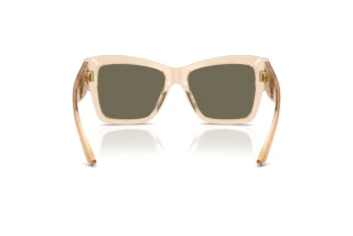 Vue arrière Dolce & Gabbana DG4493 (343203)