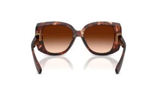 Vue arrière Dolce & Gabbana DG4495 (322274)