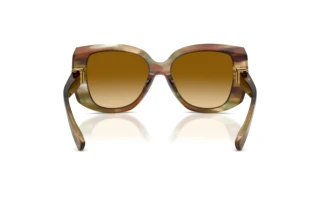 Vue arrière Dolce & Gabbana DG4495 (34462L)