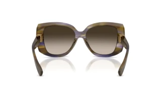 Vue arrière Dolce & Gabbana DG4495 (344713)