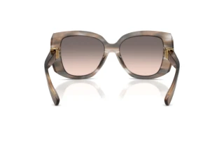 Vue arrière Dolce & Gabbana DG4495 (34493B)