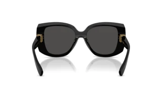 Vue arrière Dolce & Gabbana DG4495 (501/87)