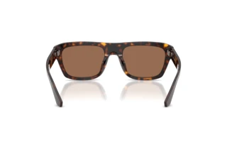 Vue arrière Dolce & Gabbana DG4496 (502/73)