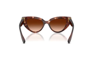 Vue arrière Dolce & Gabbana DG4497 (322274)