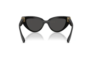 Vue arrière Dolce & Gabbana DG4497 (501/87)