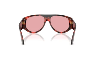 Vue arrière Dolce & Gabbana DG4499 (335884)