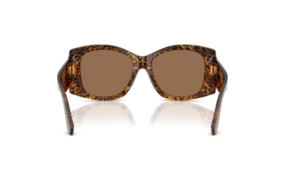 Vue arrière Dolce & Gabbana DG4501 (347073)