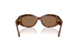 Vue arrière Dolce & Gabbana DG4502 (347073)