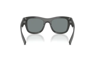 Vue arrière Dolce & Gabbana DG4509 (3090/1)