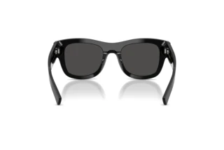 Vue arrière Dolce & Gabbana DG4509 (501/87)