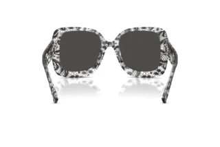 Vue arrière Dolce & Gabbana DG4513 (328787)