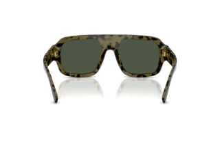 Vue arrière Dolce & Gabbana DG4516 (34049A)