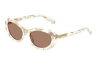 Dolce & Gabbana DG 4519 346173