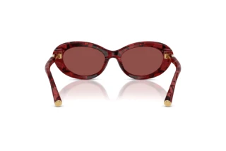 Vue arrière Dolce & Gabbana DG4519 (346375)