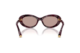 Vue arrière Dolce & Gabbana DG4519 (34647N)
